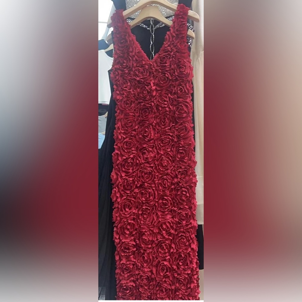 Amazon Red Floral Prom Dress